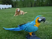 2013-05-10 18.30.20.webp