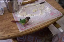 pear pie 001.webp