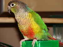 DSC02791.webp