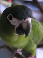 dusty photo shoot june 2010 007.webp