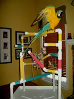 GYM#1.webp