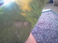 2013-05-30 15.49.11.webp