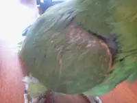 2013-05-30 15.49.29.webp