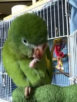 photo 2.webp