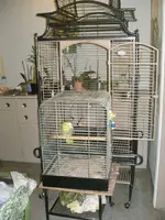 sam's house.webp