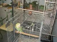 sam's house 001.webp