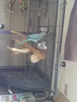 2013-06-03 16.58.00.webp