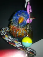 22062011419.webp