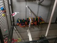 20130612_204950.webp