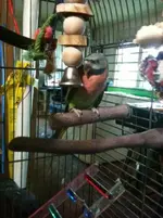 photo-1.webp