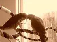 20120809_145226.webp