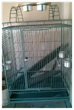 NEW CAGE.webp
