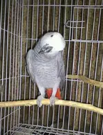 IMG-20120814-WA0003.webp