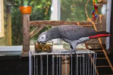 user30774_pic20126_1530893661.webp