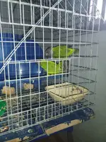 IMG_20210921_165237_6.webp