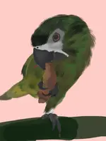 1AD21E7A-041C-4F5D-9DCE-0B19F5ABE678.webp