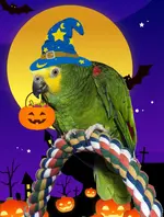 HalloweenBoosie.webp