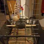 20211011_083747.webp