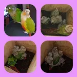 20211014_115516.webp