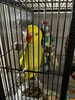 9A134080-E5E8-46C3-94E0-C74CF5474AD9.webp