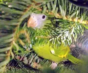 20191209_215855.webp
