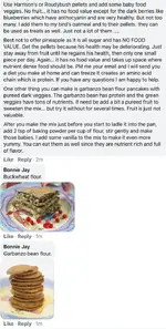Pancakes.webp