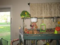 IMG_1296.webp