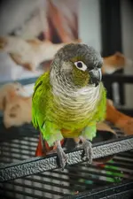 D71_7191.webp