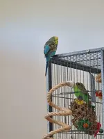20211202_143649.webp