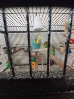20211124_110225.webp