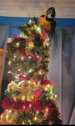 Screenshot_20211208-124717_Facebook.webp
