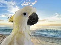 DB267A8C-8A34-4D5C-9852-8CD87B4AEEAB.webp