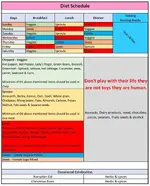 Diet Schedule.webp