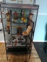IMG_20220118_115042.webp