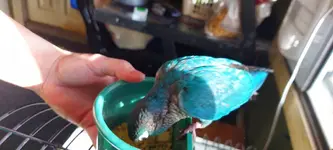 20220211_140423.webp
