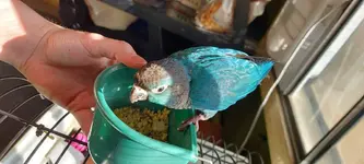 20220211_140433.webp