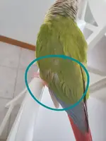 20220213_102344.webp