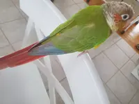 20220213_102436.webp