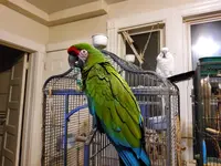 20220301_181829.webp