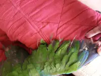 IMG_20220304_173003_958.webp