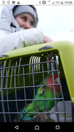 Screenshot_20220311-190634.webp