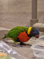 20220315_192238.webp