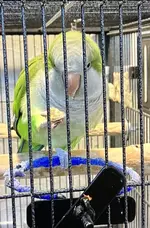 89F696AB-E2E9-42CE-8590-F6BF2E772EBE.webp