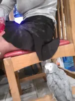 20220218_205816.webp