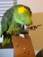 20220221_194707.webp