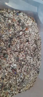 20220424_165257.webp