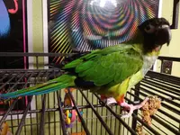 20220426_191621.webp