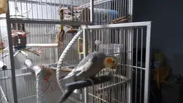 20220430_104411.webp
