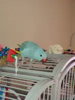 20220427_115108.webp