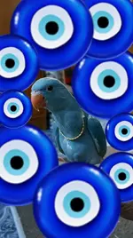 CBC11C27-DCDB-41A5-8645-A53B0D338976.webp